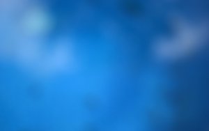 姿态估计性能评测数据报告